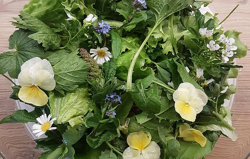 Herbs salad