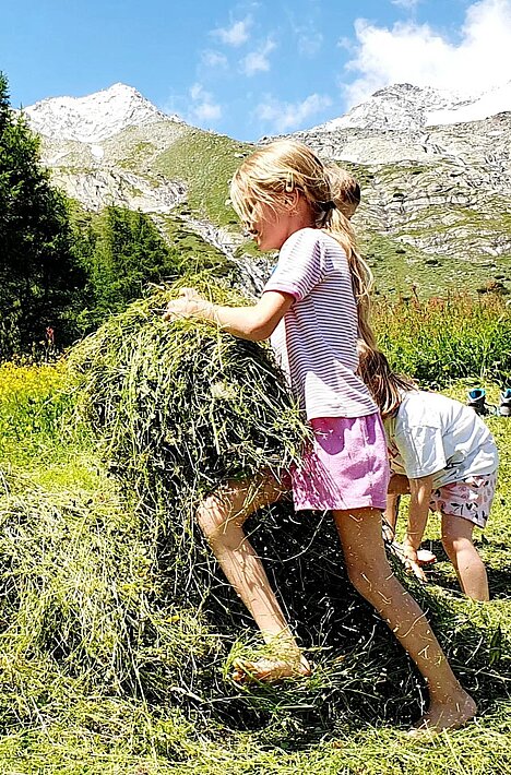 Hay work in the Ahrntal
